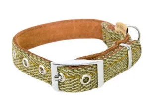 Earthbound Tweed Green Dog Collar M